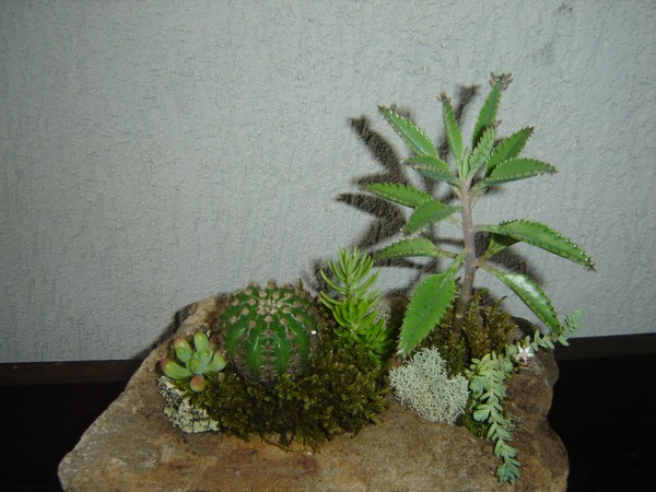 PEDRA VIVA 35