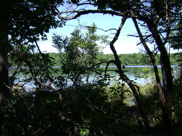 blueberry island