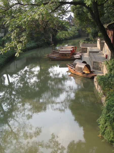 Reflection in the river
