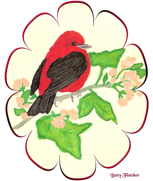 A Red Bird