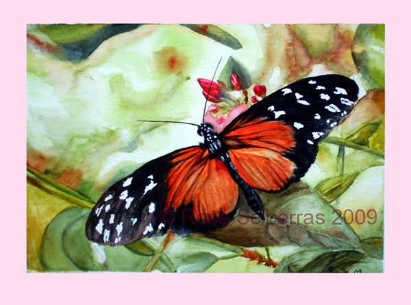 Papillon