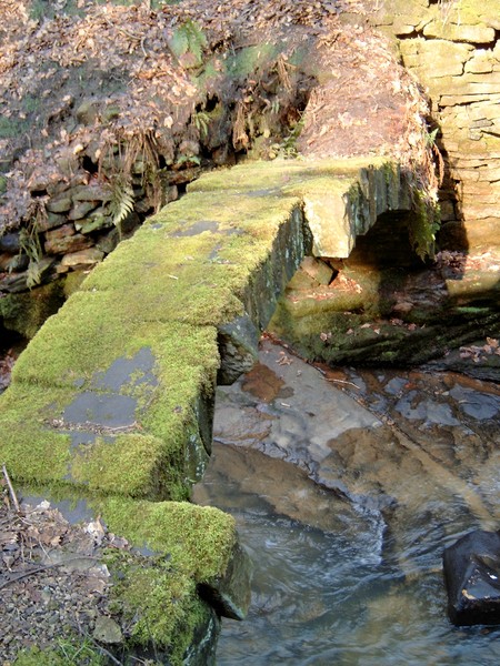 Mossy bridge.