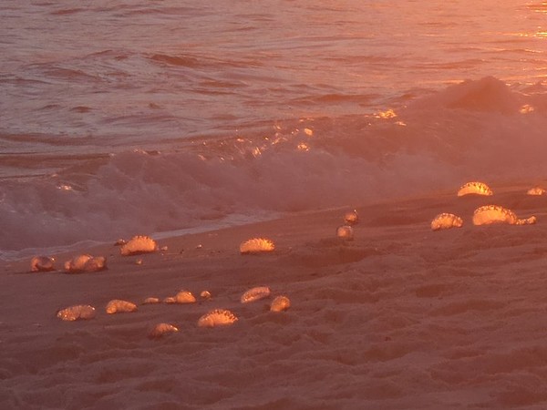 Man O War sunset