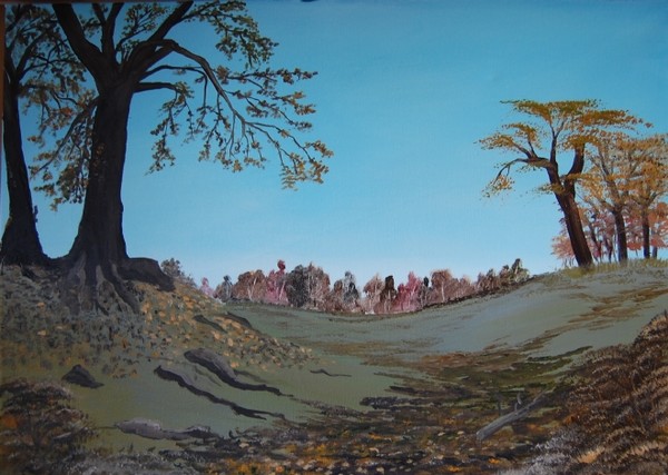 Woodland Walk