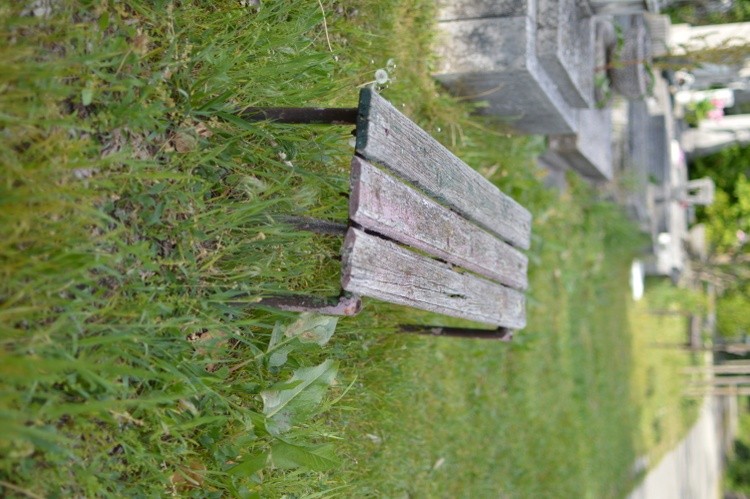 DSC 0104