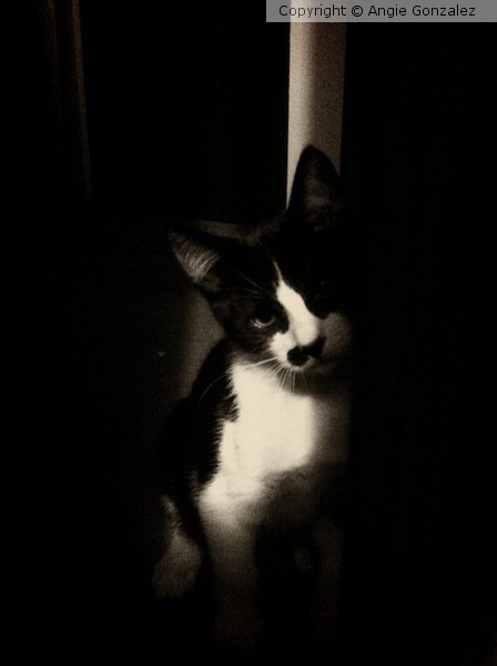 Dark Hero