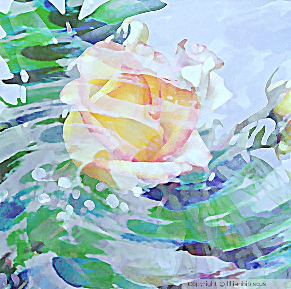 Rose Mist