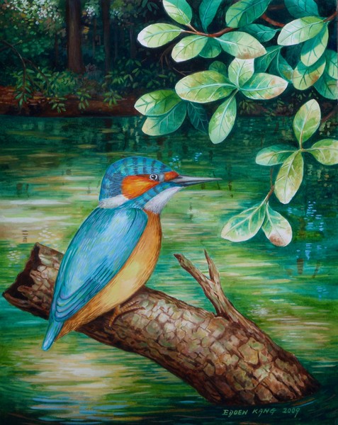Kingfisher