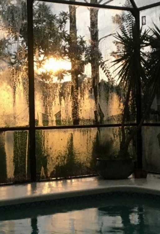 SUN AFTER RAIN- 8