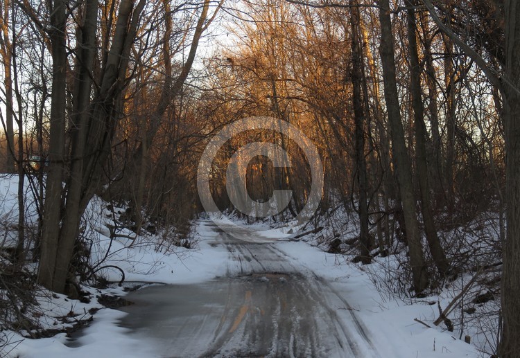 Nature trail at sunrise