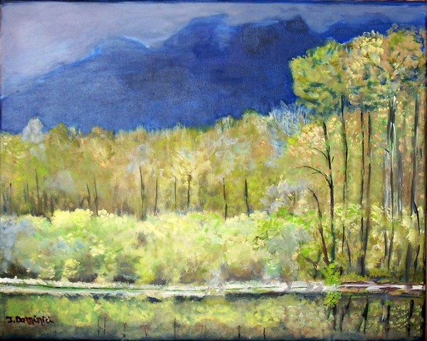 Spring Reflections of Everglades