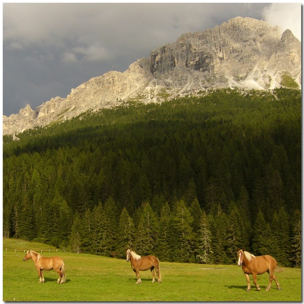 *Alpine Trio*
