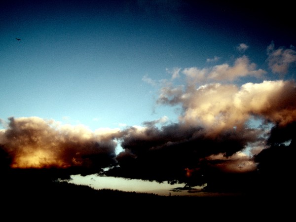 Night and day