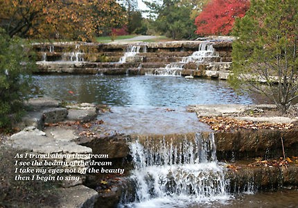 The Stream