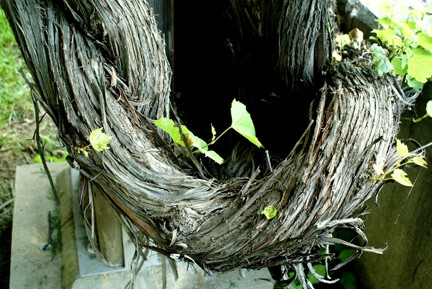 root2