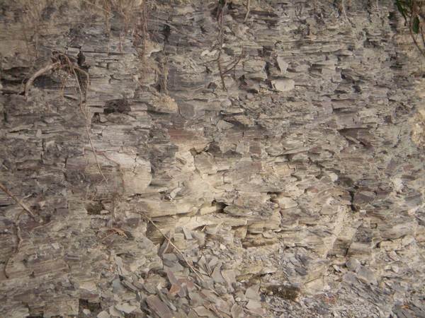 P7010913