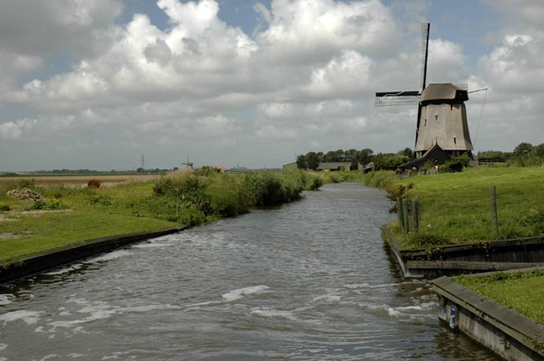 Dutch Windmill