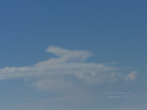 Horsing around in the clouds