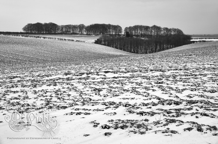 ExpoLight-The-Lincolnshire-Wolds-Winter-18-03-2018-0012 (SP)