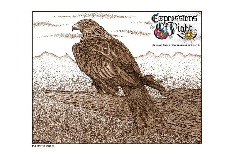 ExpoLight-Graphic-Arts-Red-Kite-Eagle-1989-0001 (Pen-&-Ink-Sepia-SP)