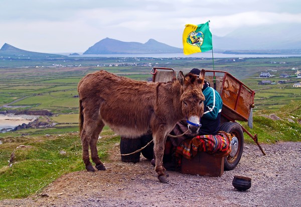 Would You Like a Ride in Ireland