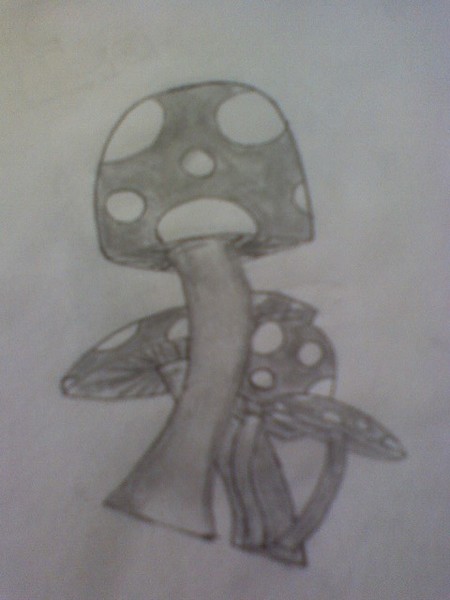 Shrooms