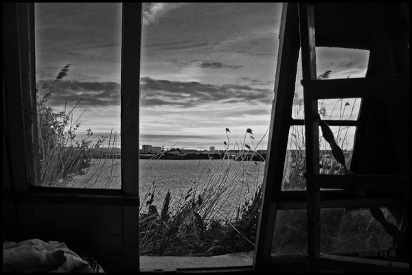 sedately lying under the soft twilight's paw