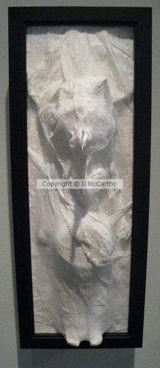 See No Evil, Copyright D.McCarthy.