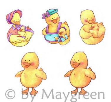 Duck