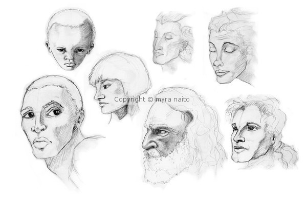 Head studies