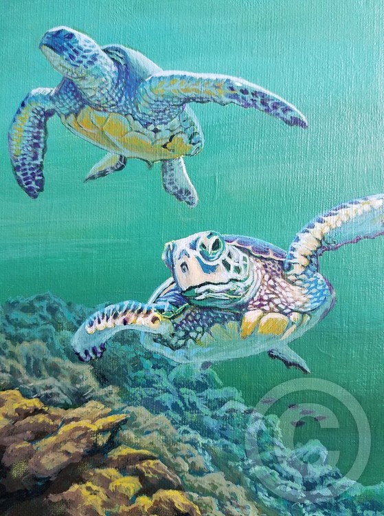 Free in the Sea