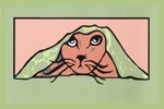 Under cover