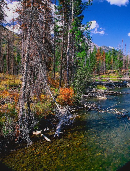 Creek in the Rockies