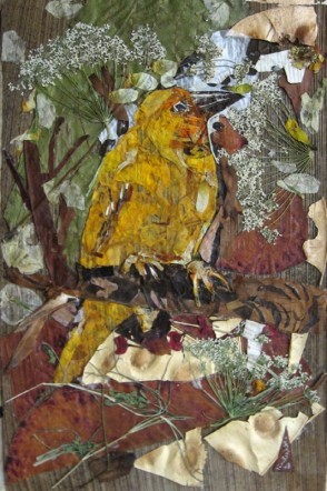 Bird Weavers
