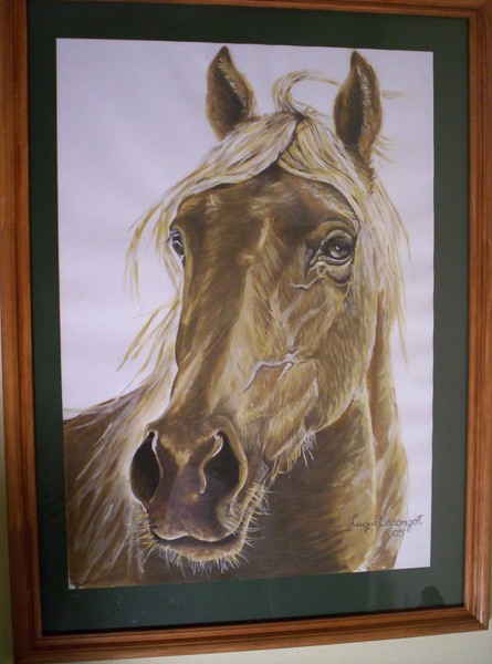 caballo 21