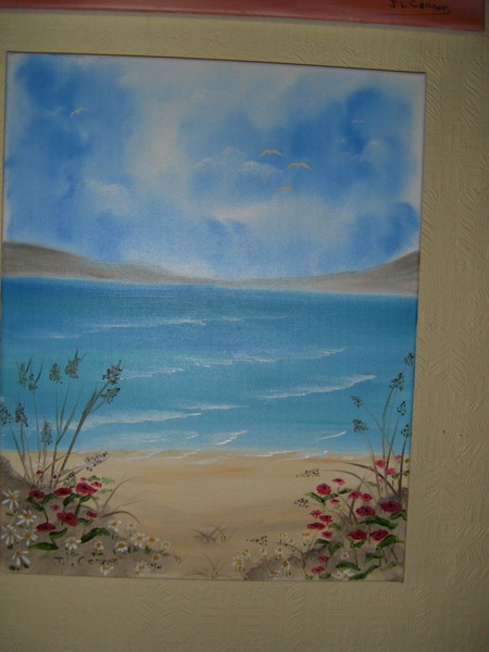 poppy beach