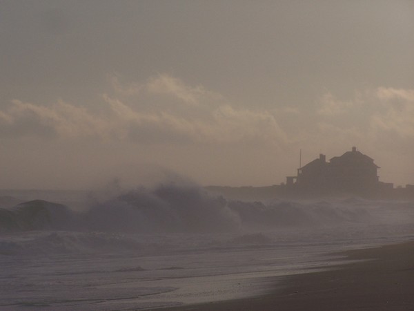Gray Evening