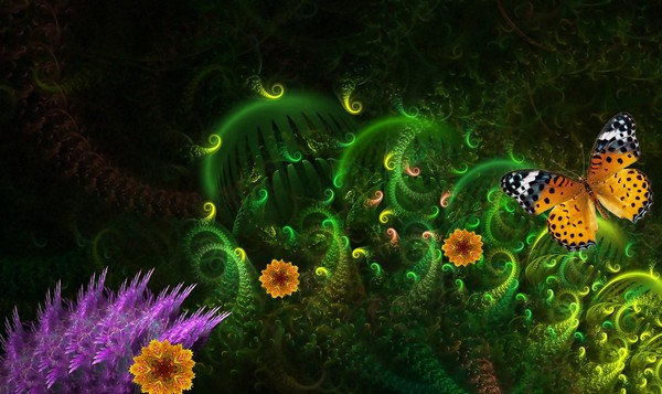 Amazonian Forest