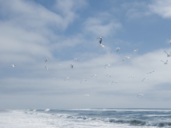 In Flight