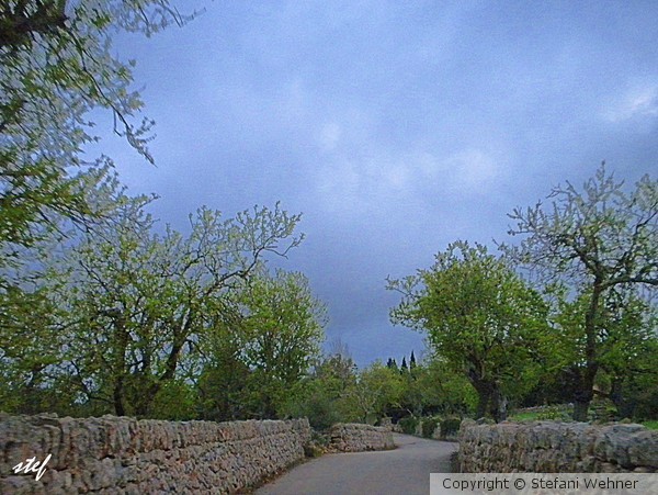 country road