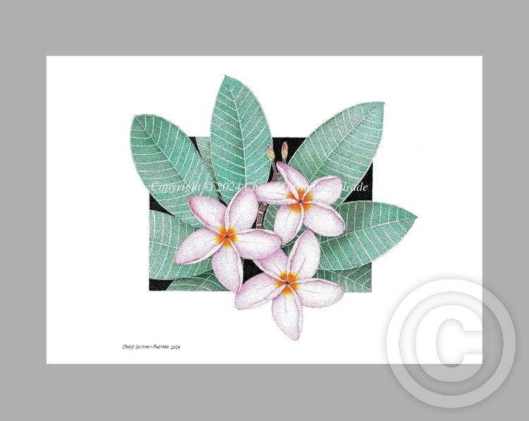 Plumeria Pen and Ink Pointillism