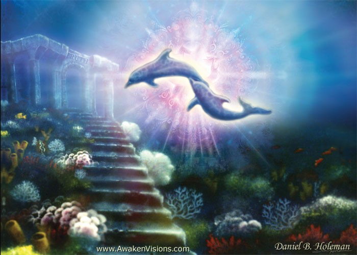 H019NoriDolphins 5x7