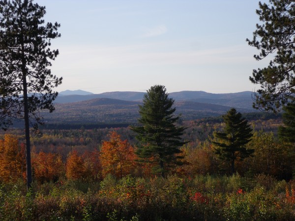 fall in Maine