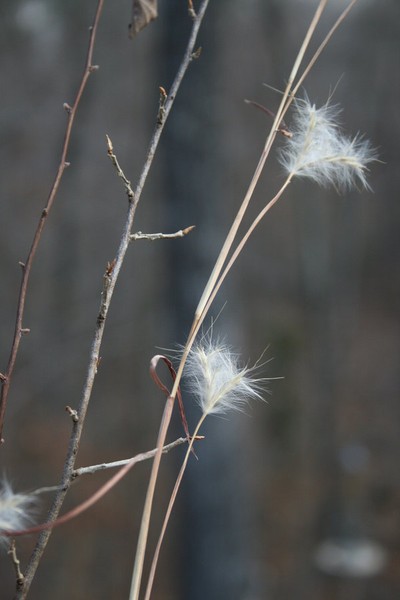 Soft.