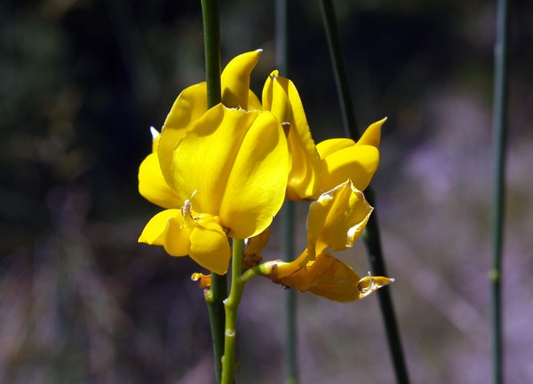 P7072764