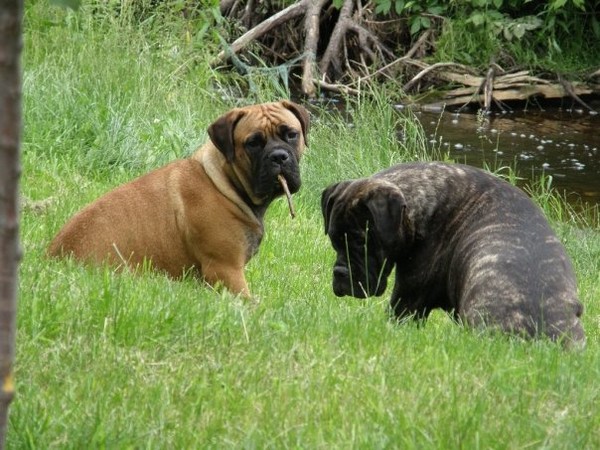 what stick?,i dont see a stick.