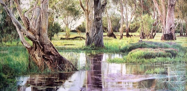 Reflections of Kakadu