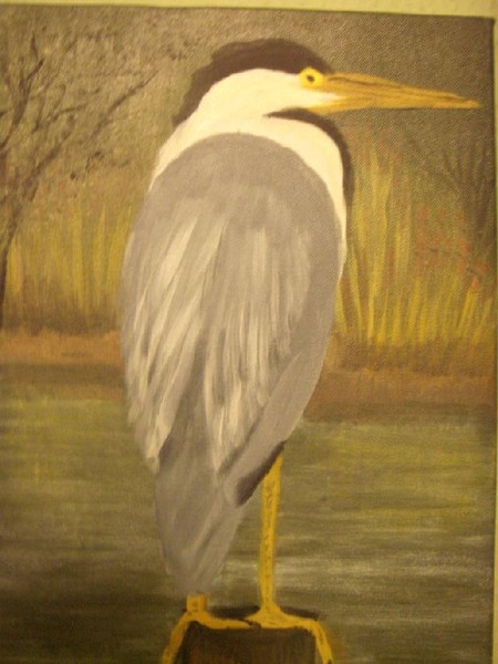 heron