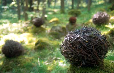 BranchBalls2