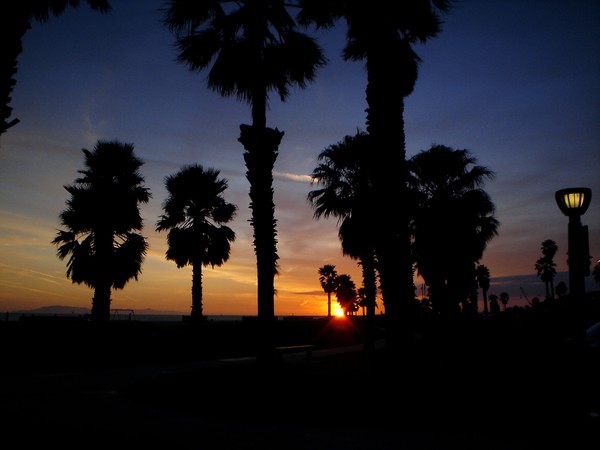California Sky